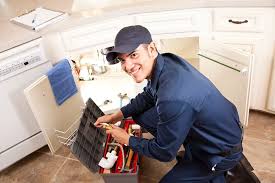 Best Pipe Inspections and Diagnostics  in Dundee, MI